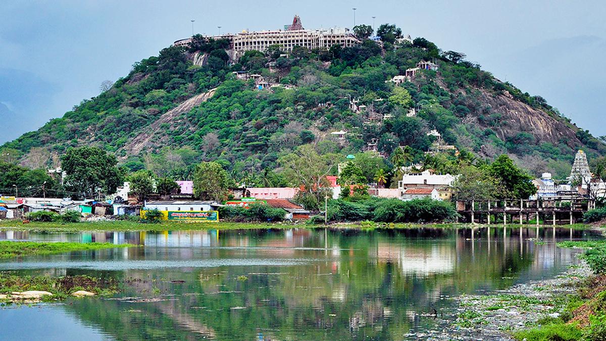 Palani's Sri Dhandayuthapani Swamy temple is a “natural wonder” of the world: Madras High Court - The Hindu