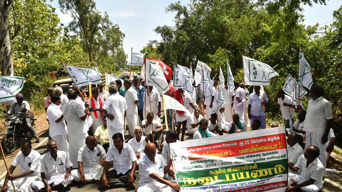 Infuse funds and resurrect Alanganallur sugar mill, say cane farmers