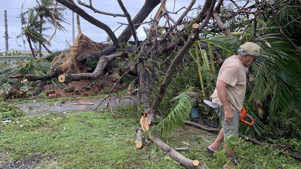 After Typhoon Mawar battered Guam, 'what used to be a jungle looks like toothpicks'