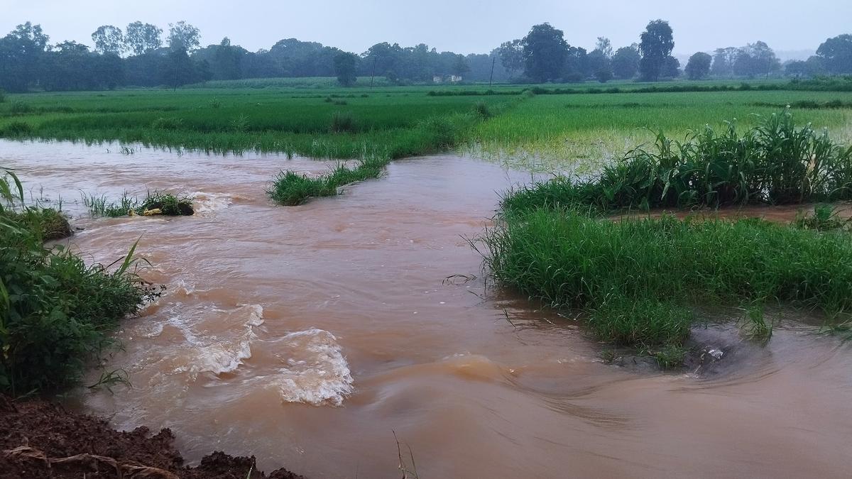 Many parts of Karnataka set to receive excess rain in next four weeks, says IMD