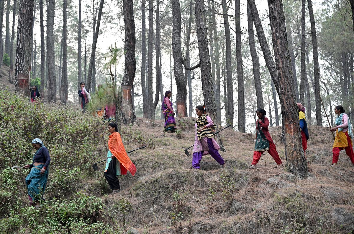 ‘Jungle ke dost’ (Friends of forest) -  women group of volunteers engaged in dousing fire,return after successfully extinguishing a forest fire at Sitlakhet in Uttarakhand on May 06, 2024.