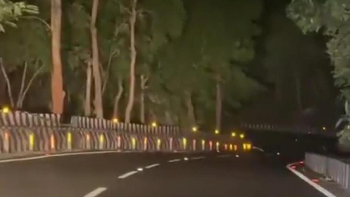 Giant python spotted on Tirumala ghat road
