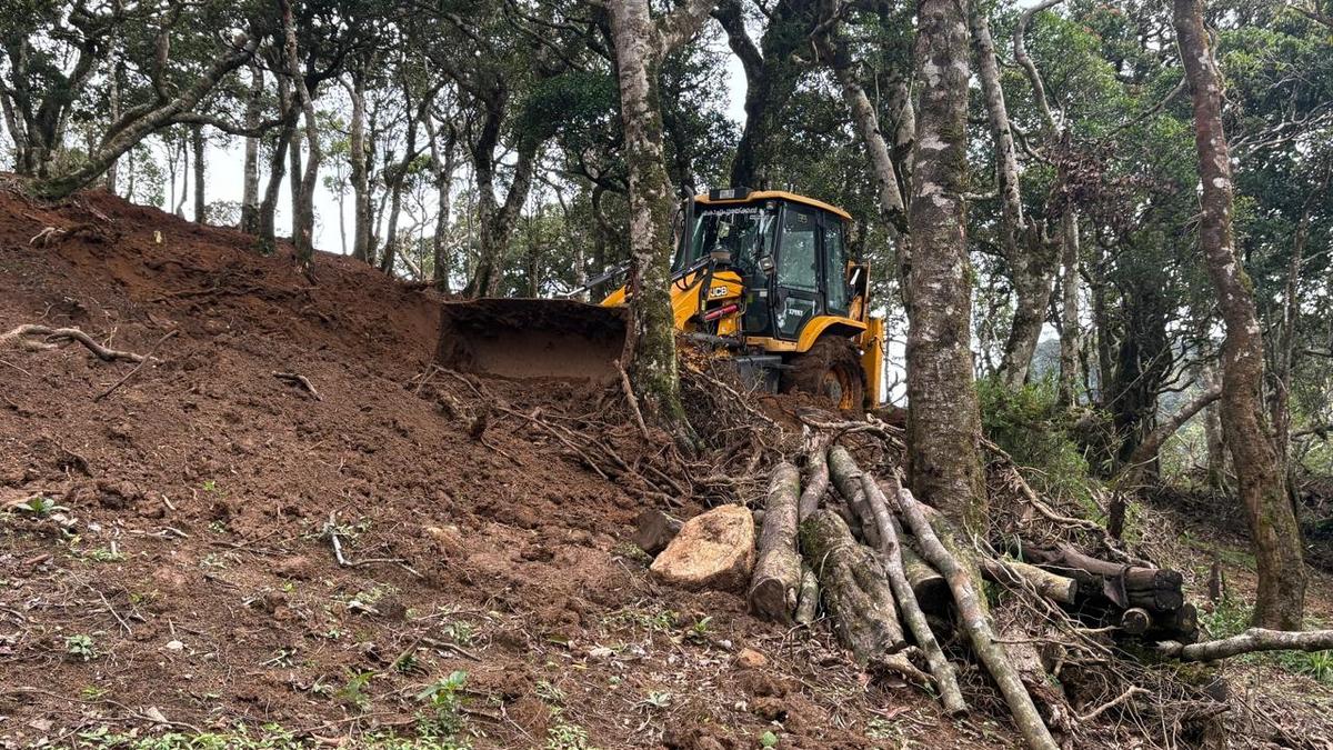 Another case of massive tree-felling reported from CHR