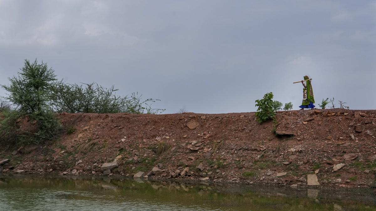 Prolonged droughts linked to rise in sexual violence against women in poor nations: study