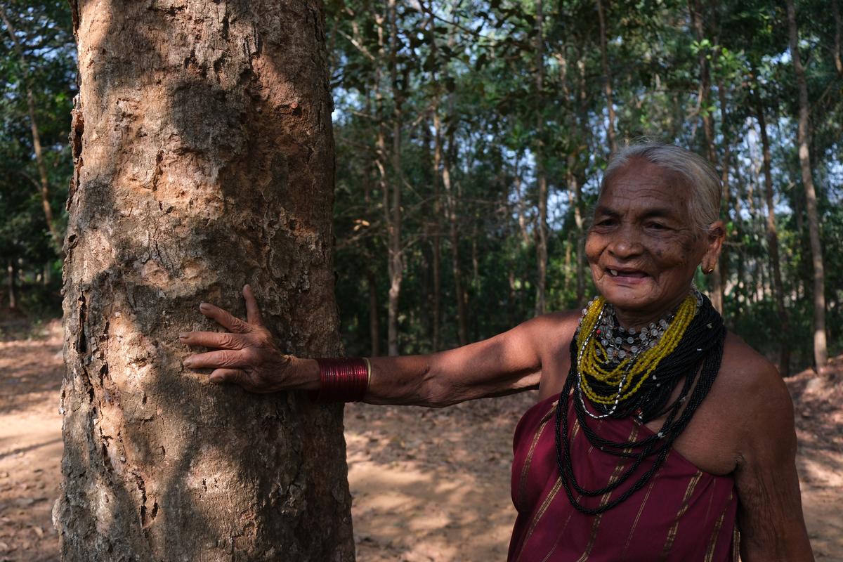 Tulsi Gowda, an environmentalist from Honnali village in Karnataka’s Davanagere district.