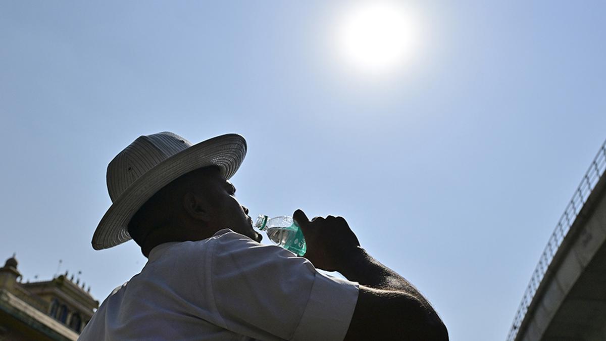 Long-term actions rare, poorly targeted to deal with heatwaves in Indian cities: Report