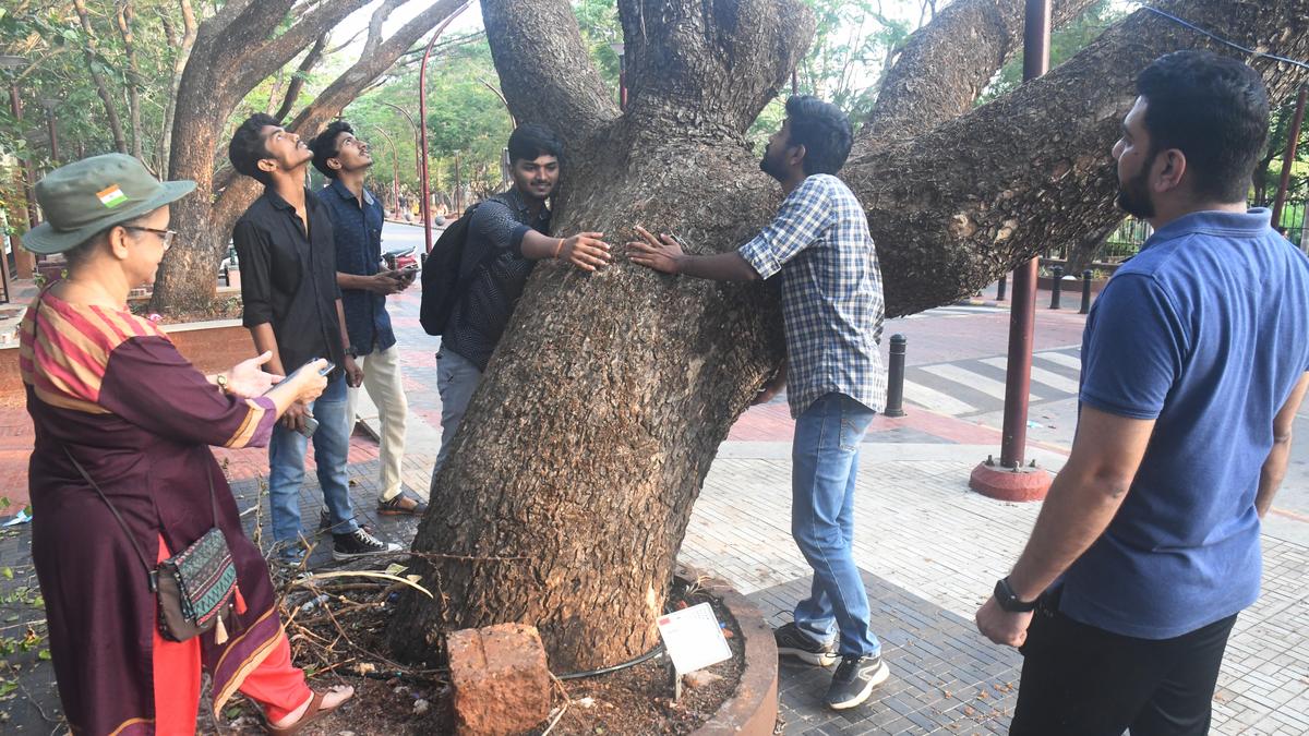 Every ward in Mangaluru needs good lung space: DCF