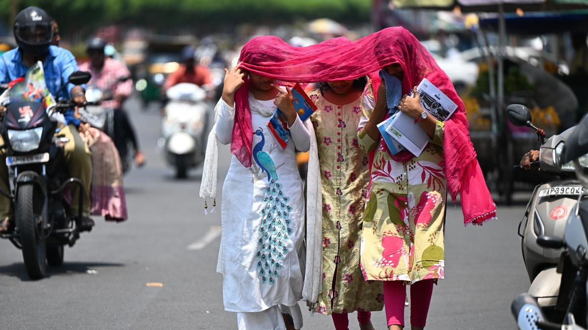 Piduguralla sizzles at 45.9°C; 64 mandals in A.P. likely to witness heatwave on May 2