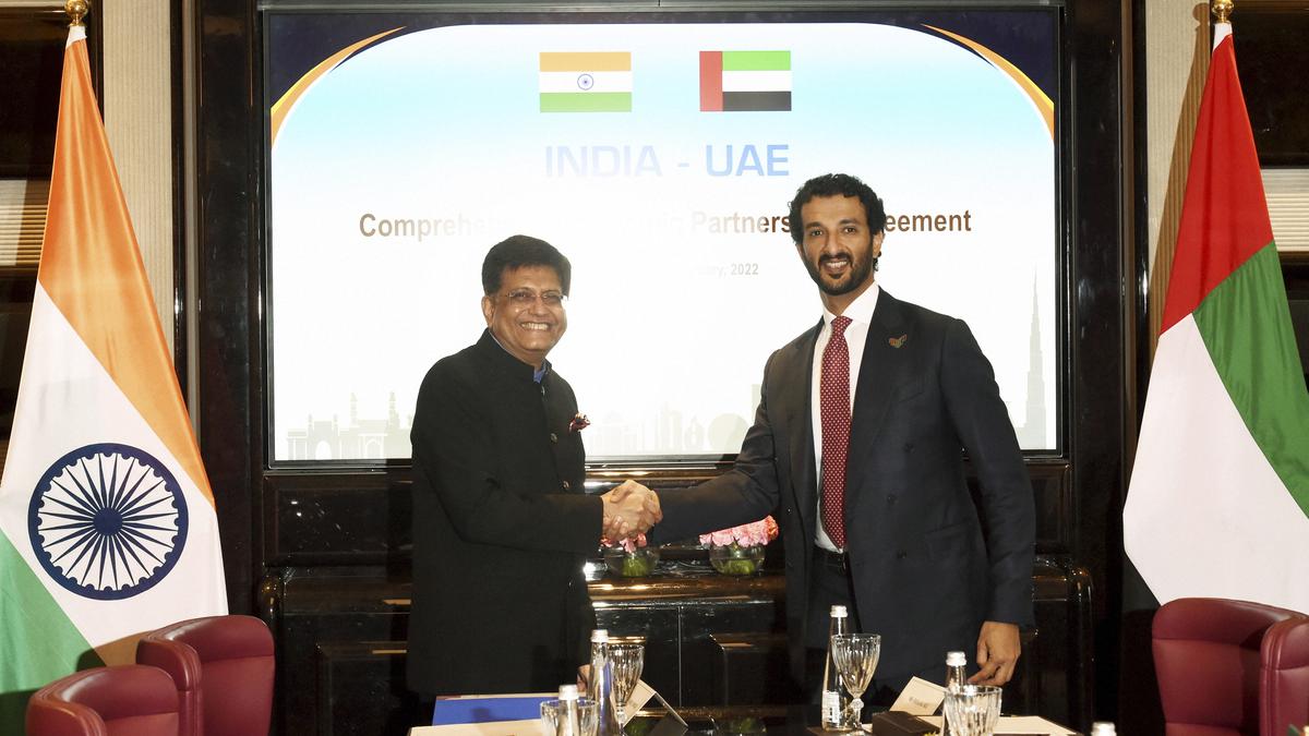 India-UAE trade pact boosts exports to $31.3 billion in 2022-23