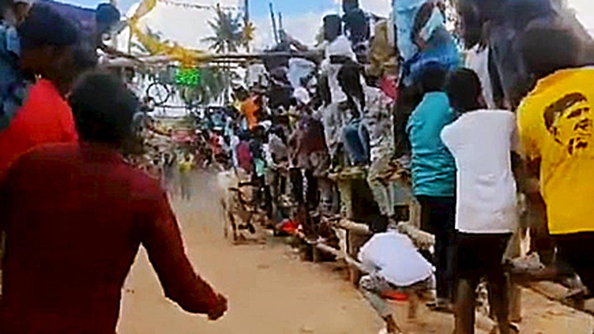 Kuppam’s crude ‘Jallikattu’ turns a get-rich-quick lure for youth groups