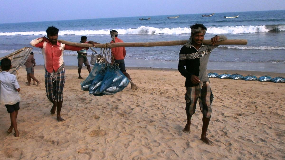 Andhra Pradesh government constitutes committee to redress grievances of Uppada fishermen
