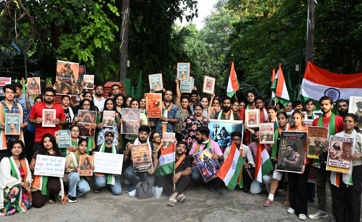 Milovníci zvířat viděni během protestu proti nedávnému rozhodnutí Nejvyššího soudu o toulavých psech v Novém Dillí 