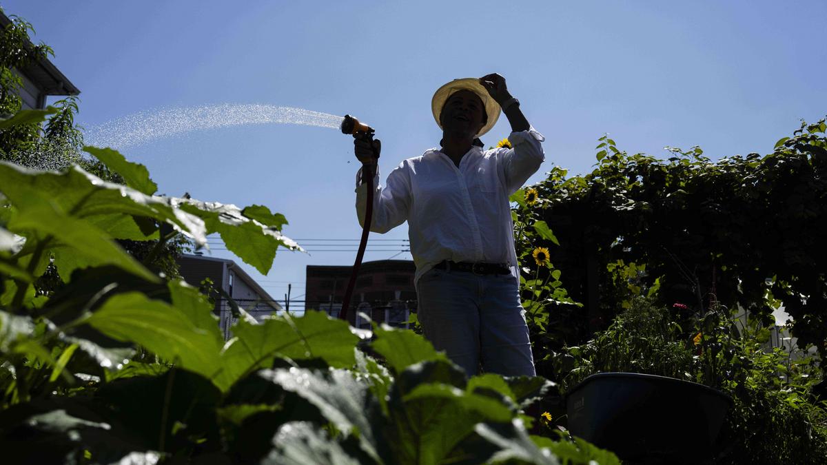 Extreme heat endangering health, affecting productivity of workers worldwide: WHO-WMO report
