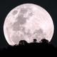 An Indian stargazing guide - The Hindu IMG 27ISTB MOON 2 2 1 PP82NFM9