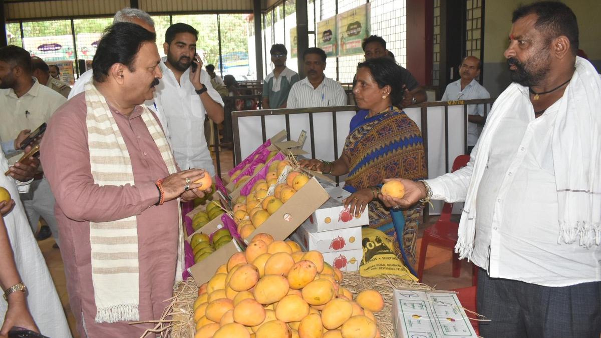 Hubballi Dharwad Central MLA tells officials to facilitate export of mangoes grown in region