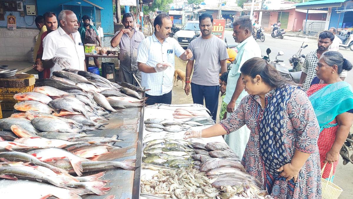 Surprise checks conducted at fish stalls in Tiruppur