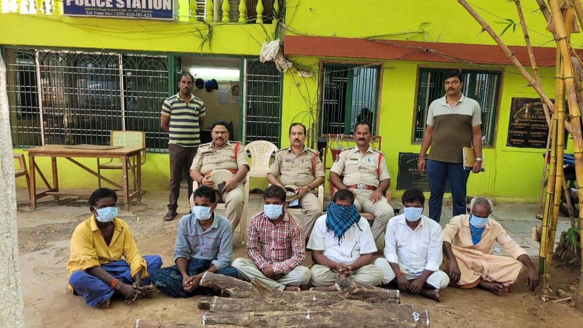 Combing operations by redsanders task force see a rise in 2022