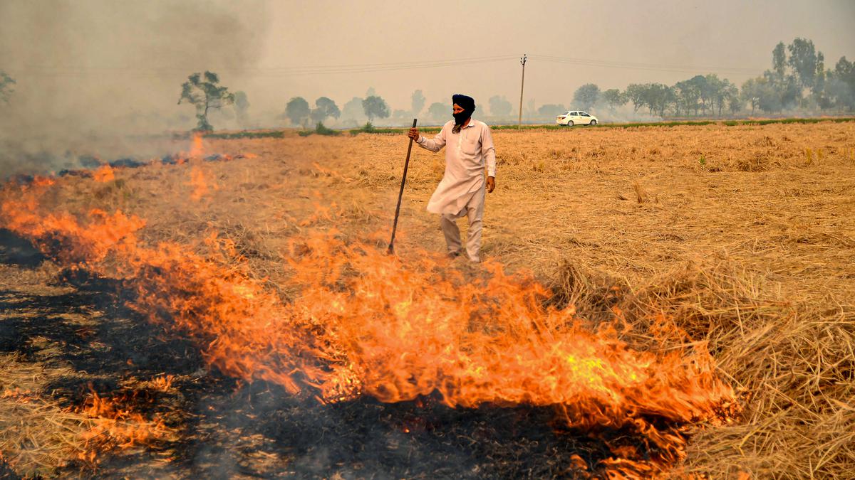 As air pollution rises, political leaders in Punjab, Haryana fire up a blame game on stubble burning
