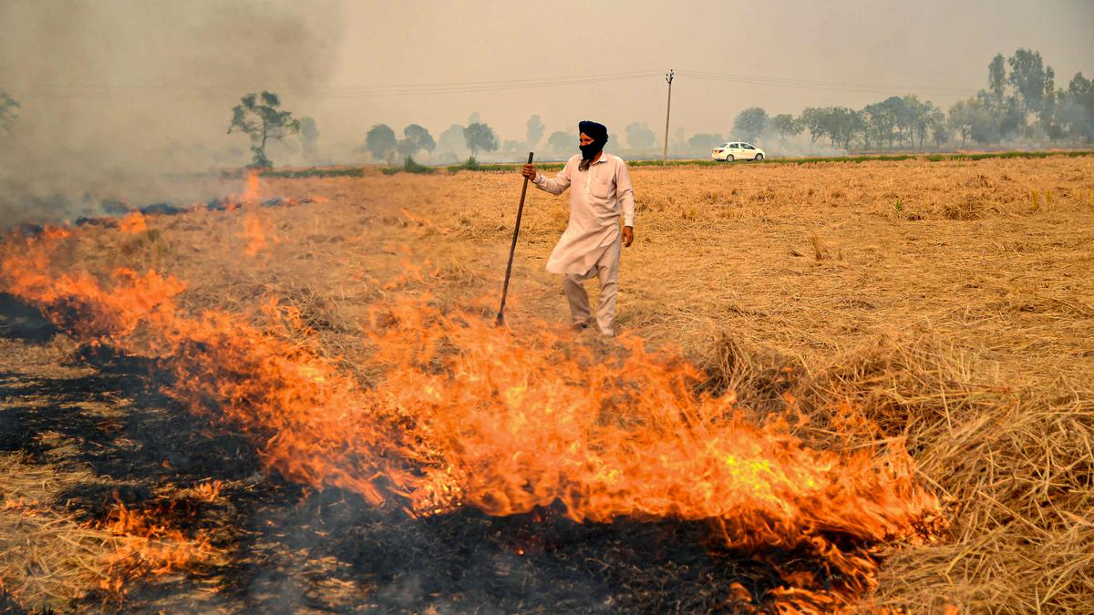 As air pollution rises, political leaders in Punjab, Haryana fire up a blame game on stubble burning