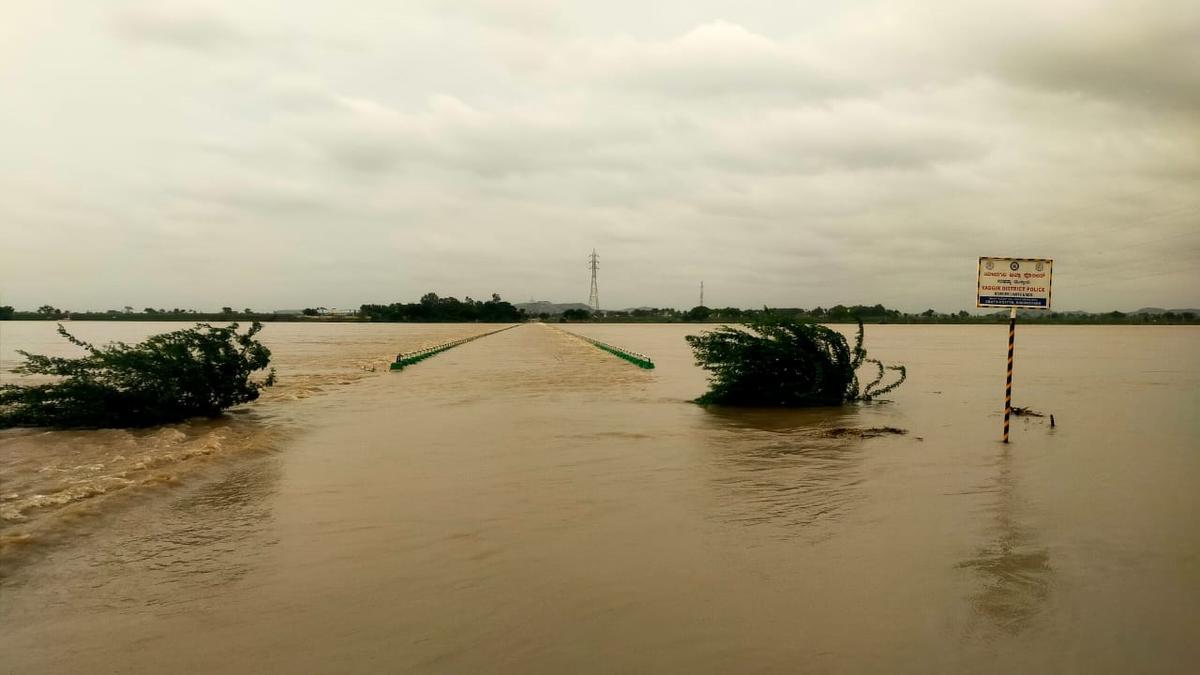 Nearly 100 acres inundated and standing crops damaged in Yadgir district