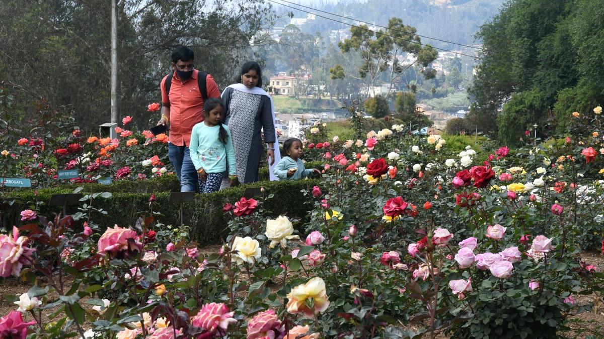 T.N. Agriculture Budget 2024 | State Horticulture Farm to be set up, new gardens to showcase & promote flowers