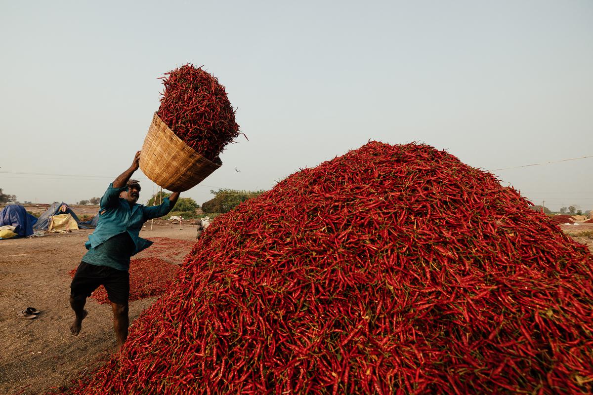 Hyderabad photographer Kishor Krishnamoorthi trains his lens on the red chilli market