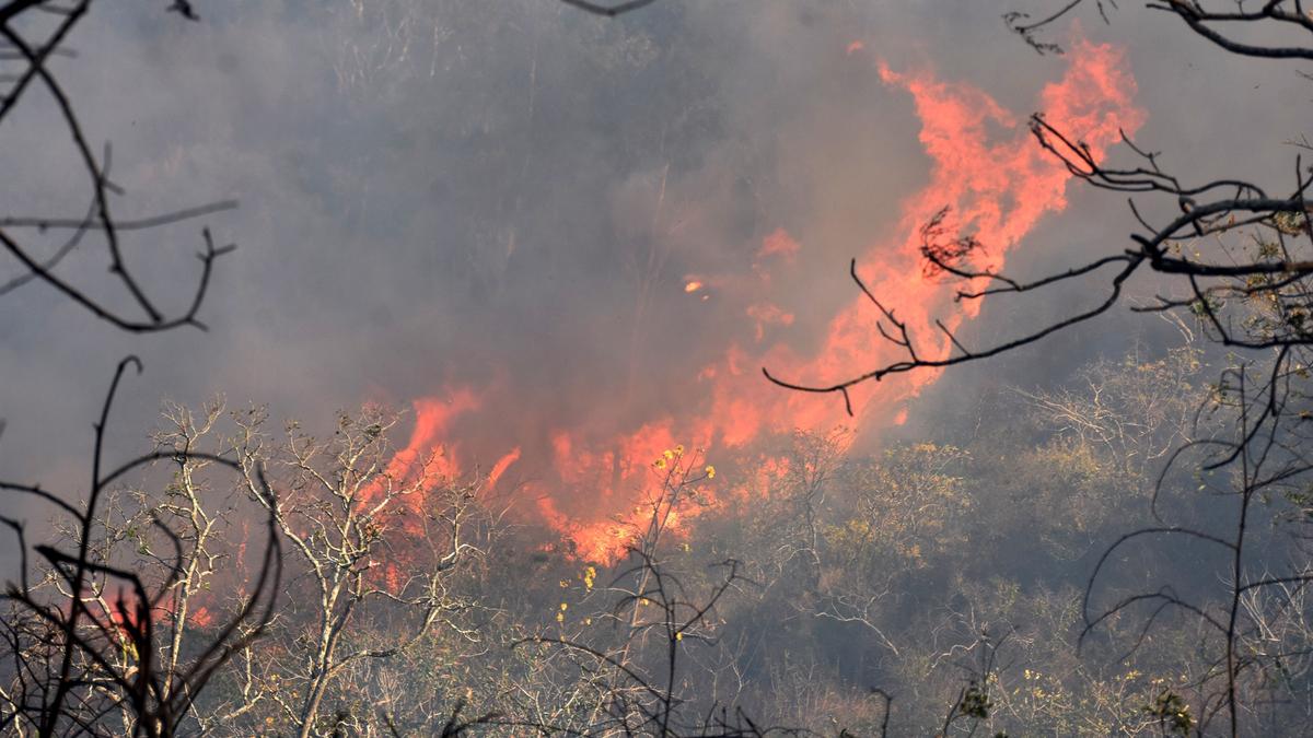 Major fire breaks out at Chamundi Hills in Mysuru