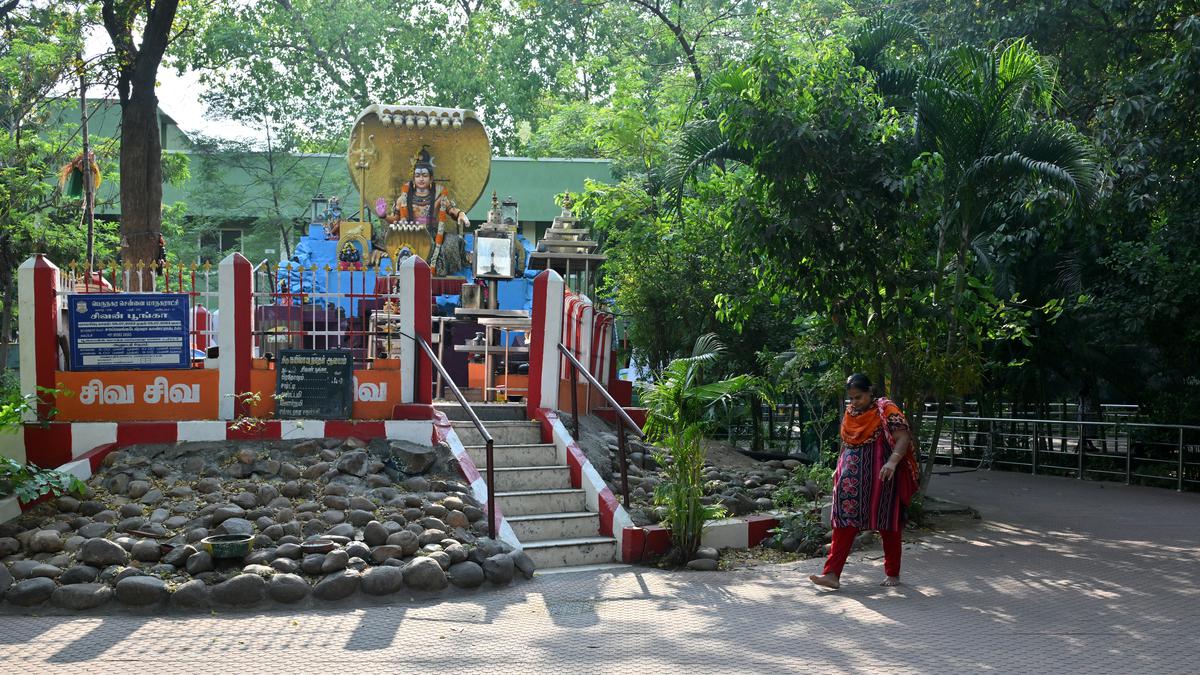 Sivan Park at K.K. Nagar is a greenspace that hosts cultural events too ...