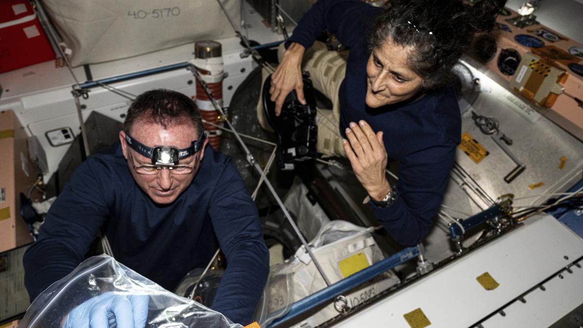 NASA decides to keep astronauts Sunita Williams and Butch Wilmore in space until February, nixes return on troubled Boeing capsule