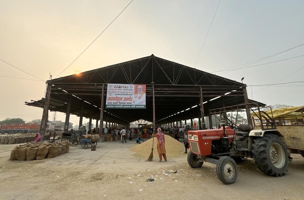 A grain market at Karnal district, Haryana