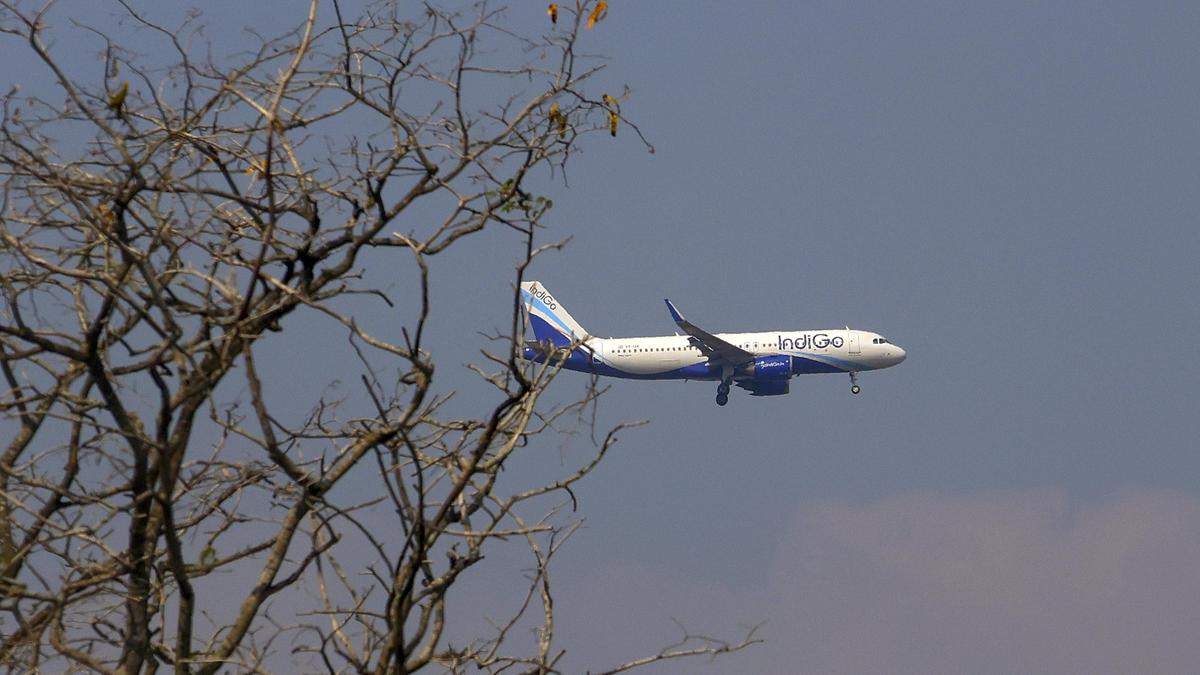 IndiGo flight disruptions: Board approves appointment of Captain John Illson for independent expert review