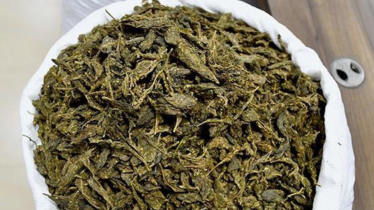 Suspended CISF constable held for transporting 158 kg marijuana in Hyderabad