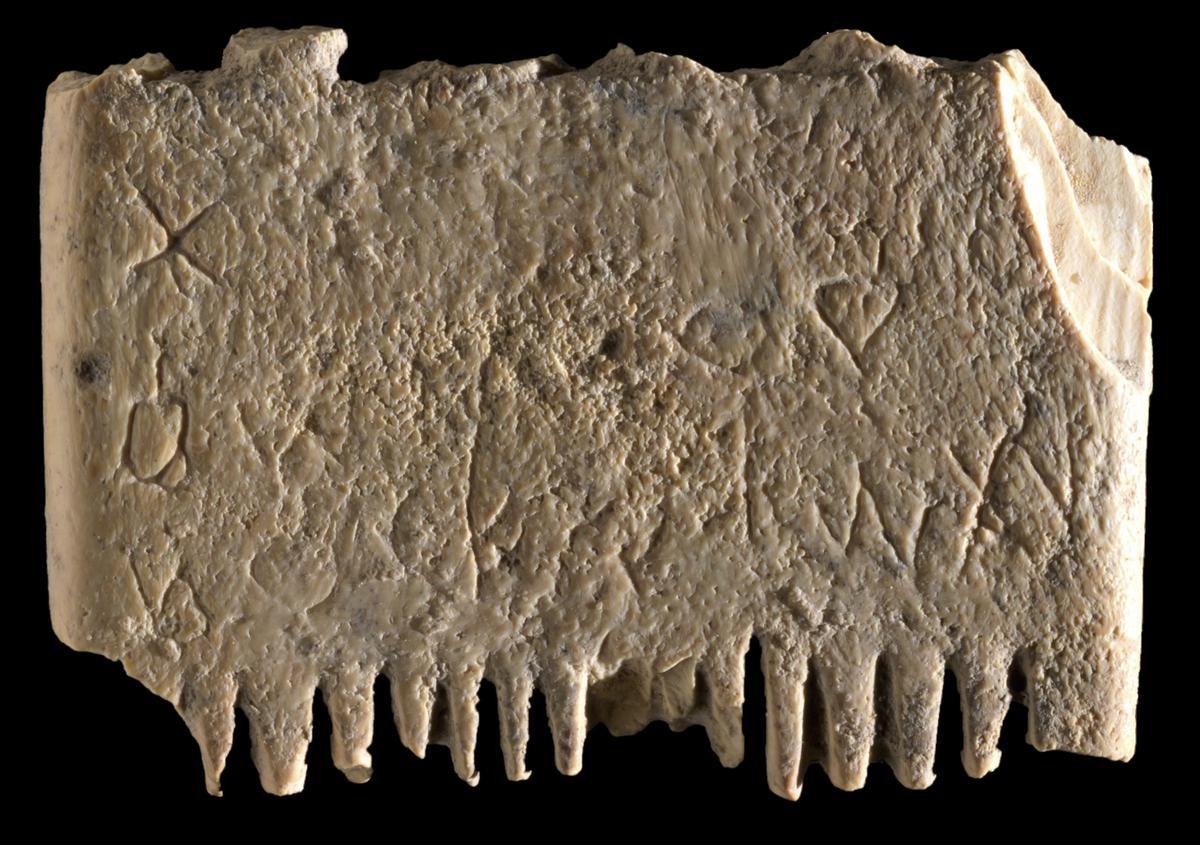 Ancient comb bears the oldest known sentence in Cannanite, the earliest alphabet