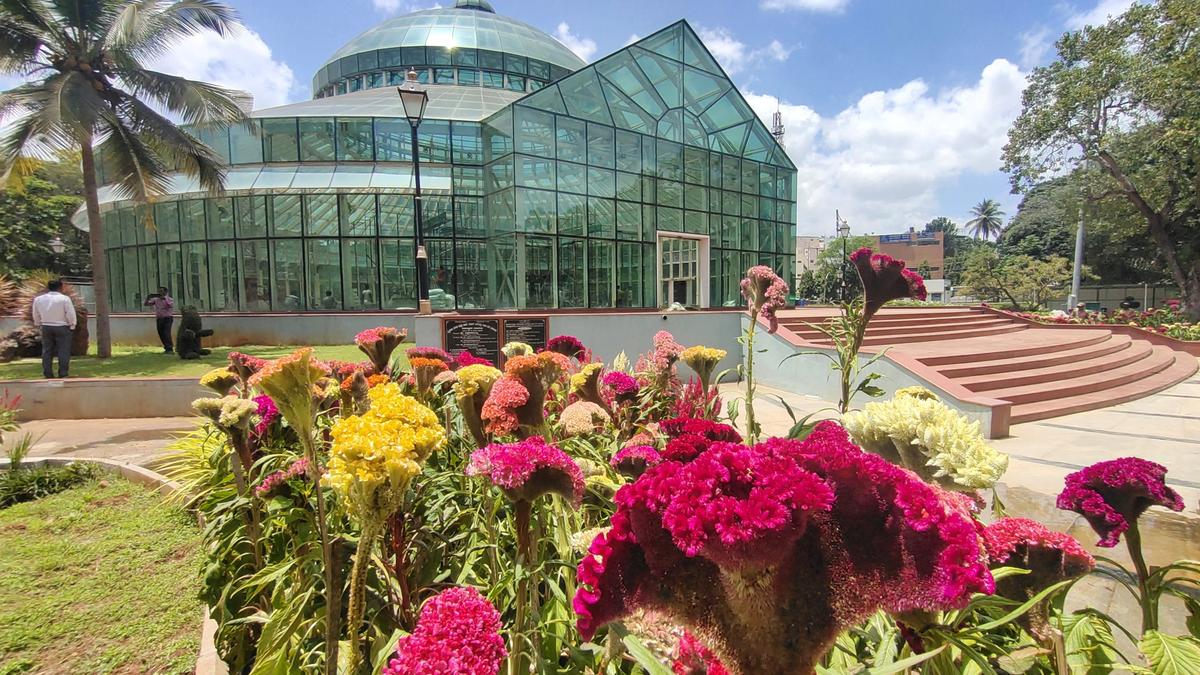 Rashtrapati Bhavan in roses at Dasara flower show The Hindu