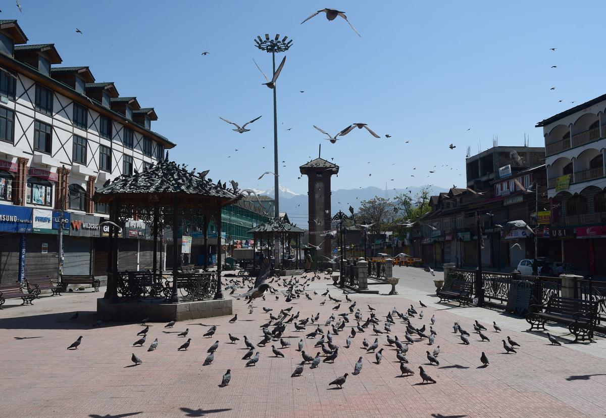 View of a deserted road during a curfew, in Srinagar.
