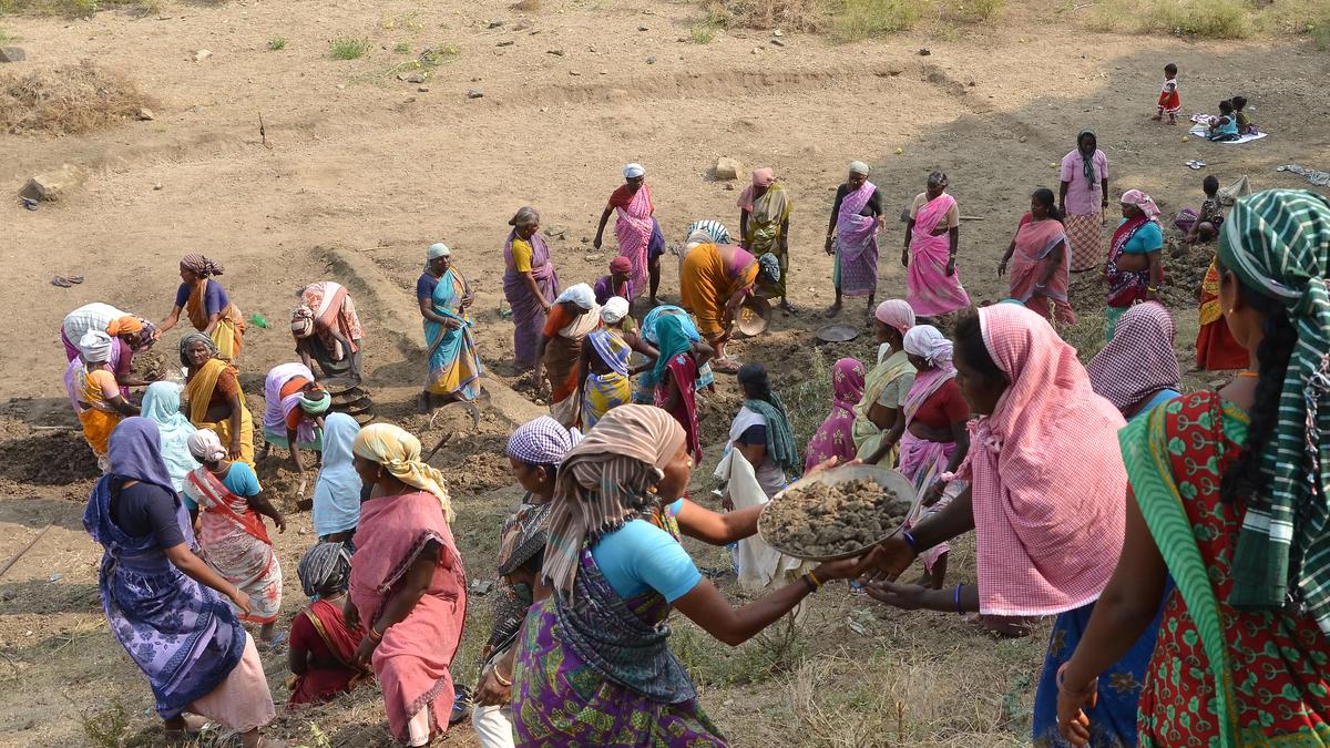 Cut in allocation causes sharp decline in mandays under national job scheme in Tiruchi district