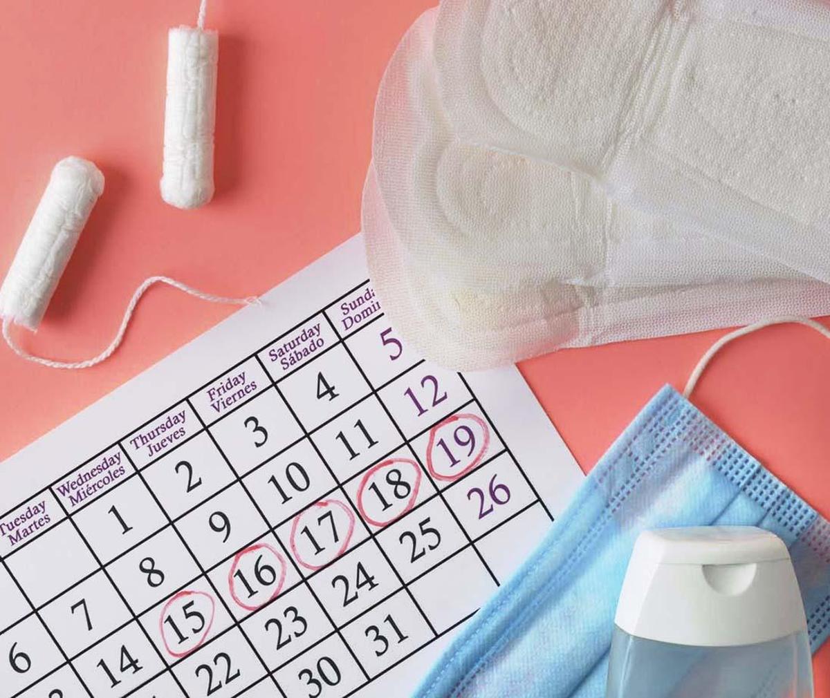 thehindu.com - Pti - Latest govt survey shows improved menstrual hygiene among Indian women