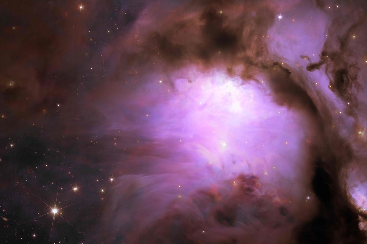 This handout image obtained on May 23, 2024 from NASA/ESA/CSA shows a new Euclid space telescope image of the star-forming region Messier 78, a vibrant nursery of stars shrouded in a shroud of interstellar dust.  The European Space Agency (ESA) announced on May 23, 2024 the first scientific image of the cosmos taken by the Euclid space telescope, which will observe two billion galaxies over six years in an attempt to unravel the elusive mystery of dark matter. 