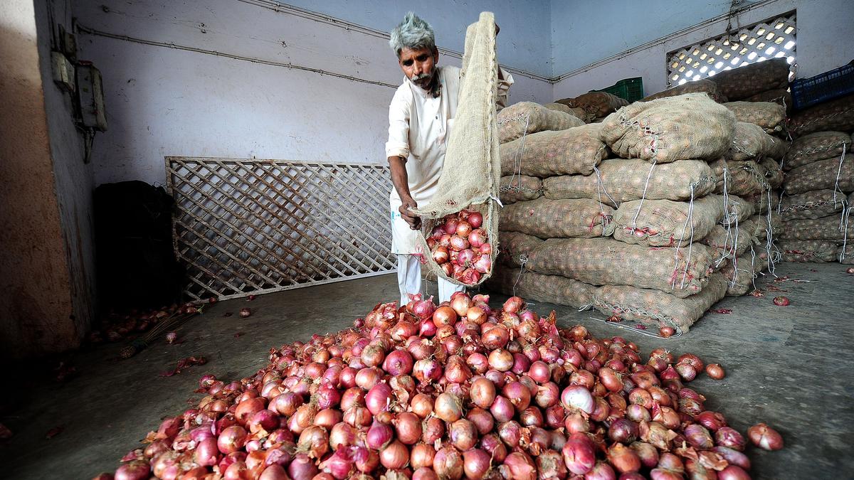 Explained | Why was a 40% duty imposed on onion exports? 