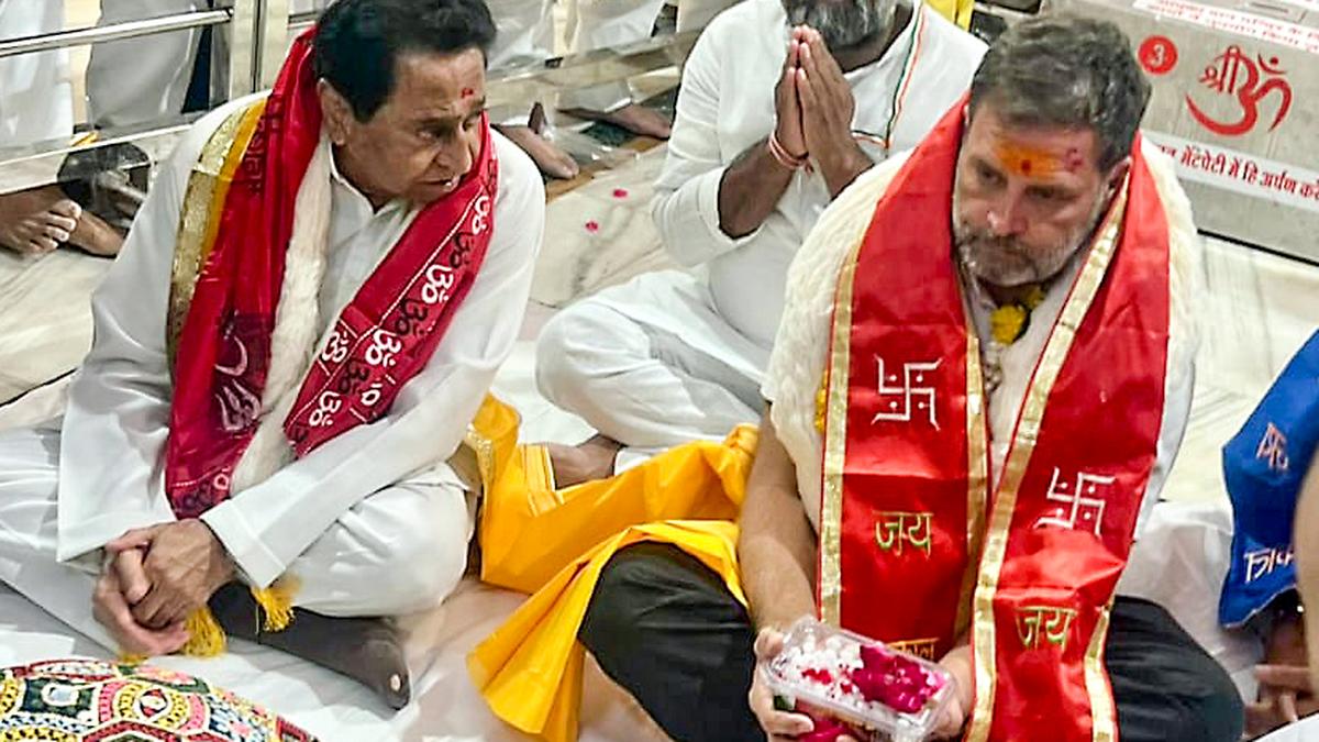 2024 Lok Sabha elections | Congress will win 12-13 seats in Madhya Pradesh, says Kamal Nath