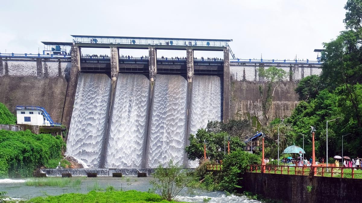 Heavy rain in State, rivers in spate