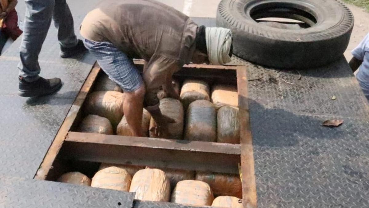 DRI officials seize 731 kg of ganja, worth about ₹2.19 crore, one arrested