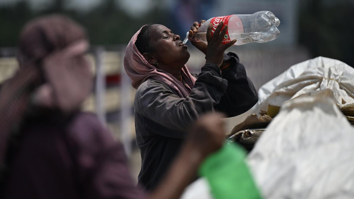 Climate experts seek 'right to cool', heat protection for informal sector workers during summer