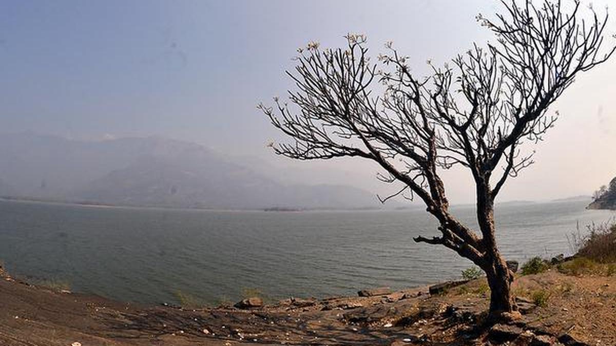 Temperature crosses 40°C-mark in Kerala’s Palakkad