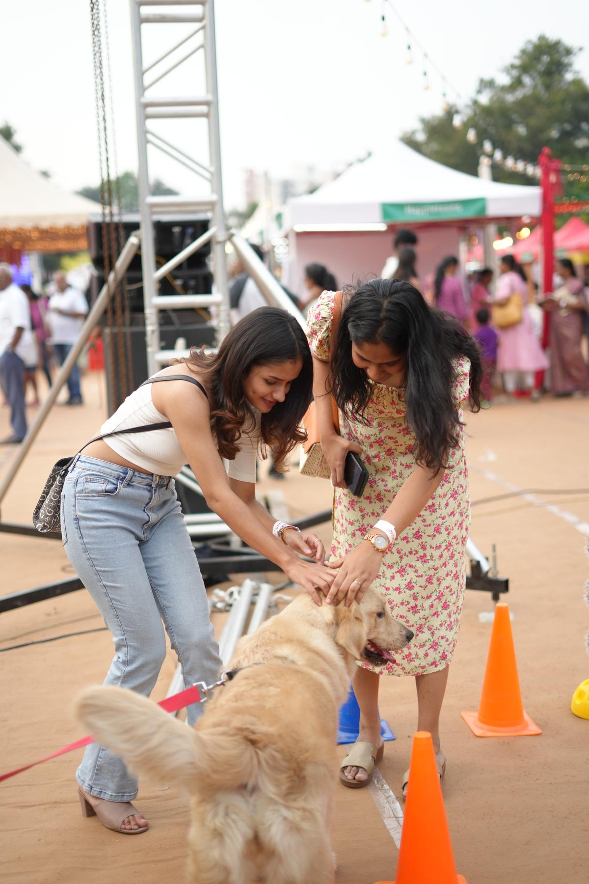 Pets at Santa’s Social