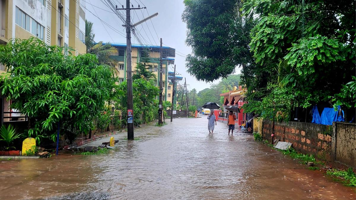 71 killed due to excessive pre-monsoon rains in Karnataka since April