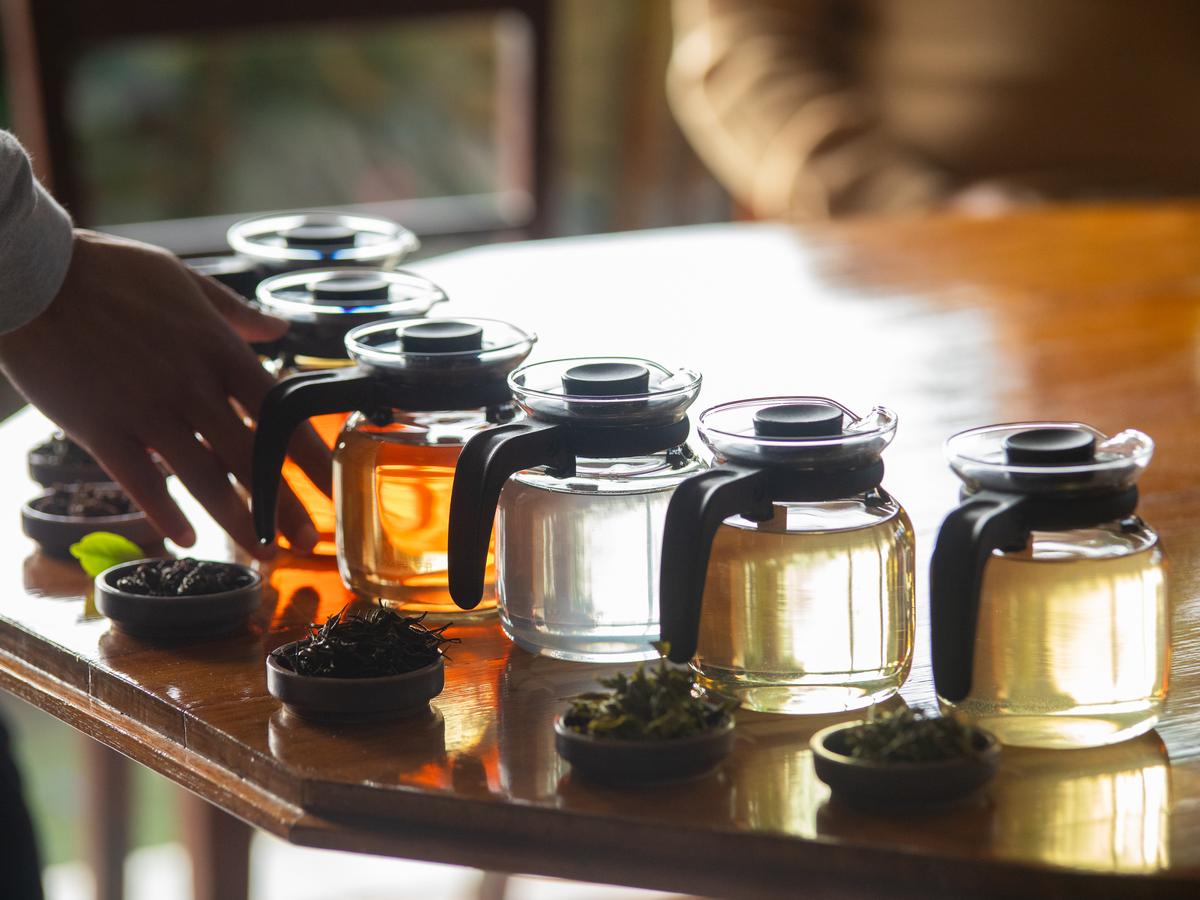 One of the sessions is on tasting of organic, high-grown, fine Nilgiri teas One of the sessions is on tasting of organic, high-grown, fine Nilgiri teas