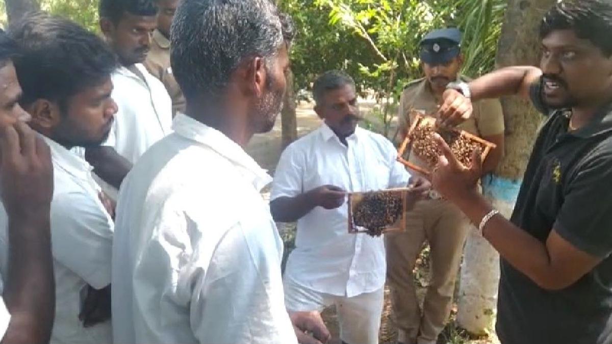 Training in beekeeping given to inmates of open air prison in Coimbatore