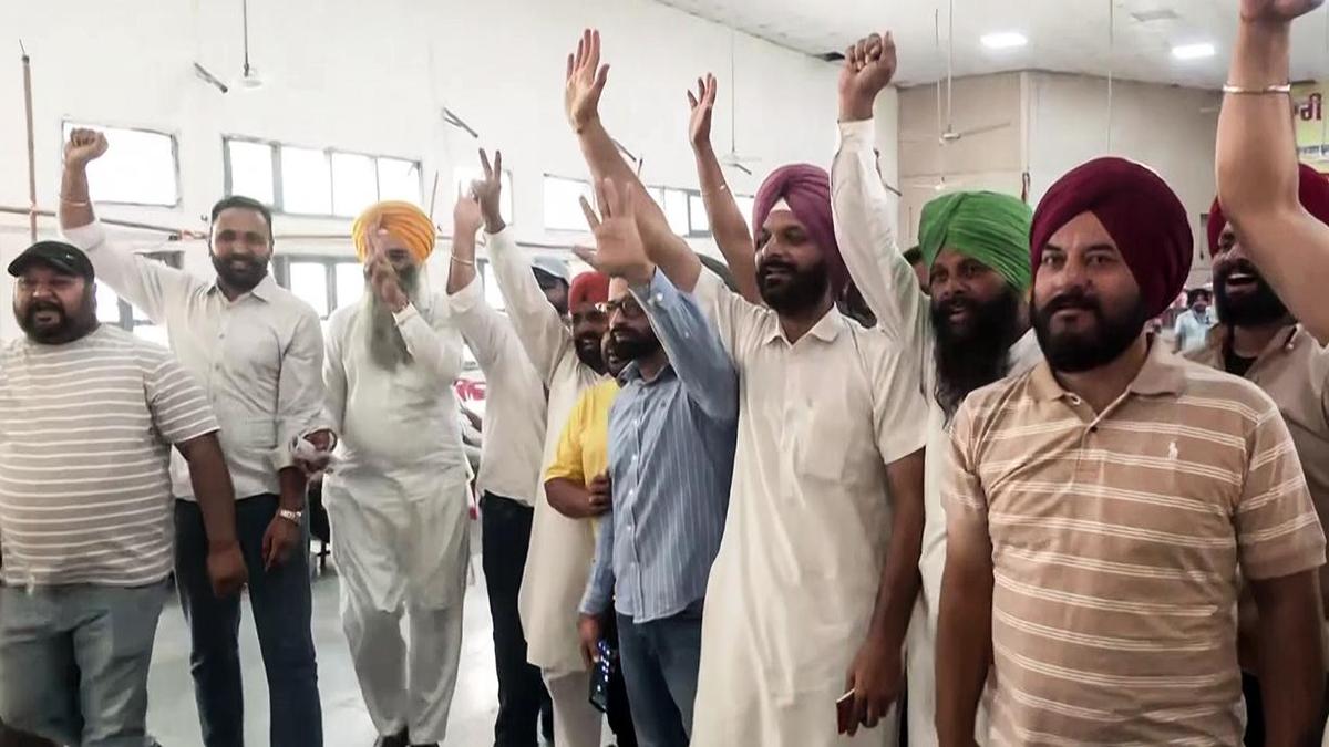 AAP wins over 860 wards in Punjab civic polls; counting under way