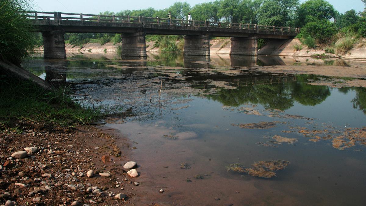 Emotive issue of Sutlej-Yamuna Link canal takes political centre stage again in Punjab, Haryana